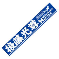 ms-293